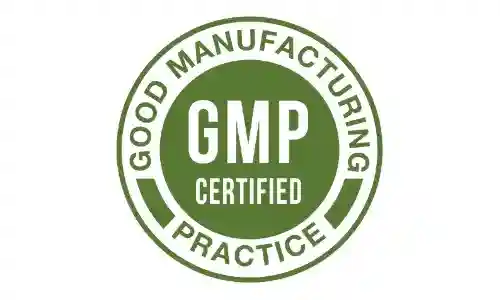 Memo Max Pro GMP Certified